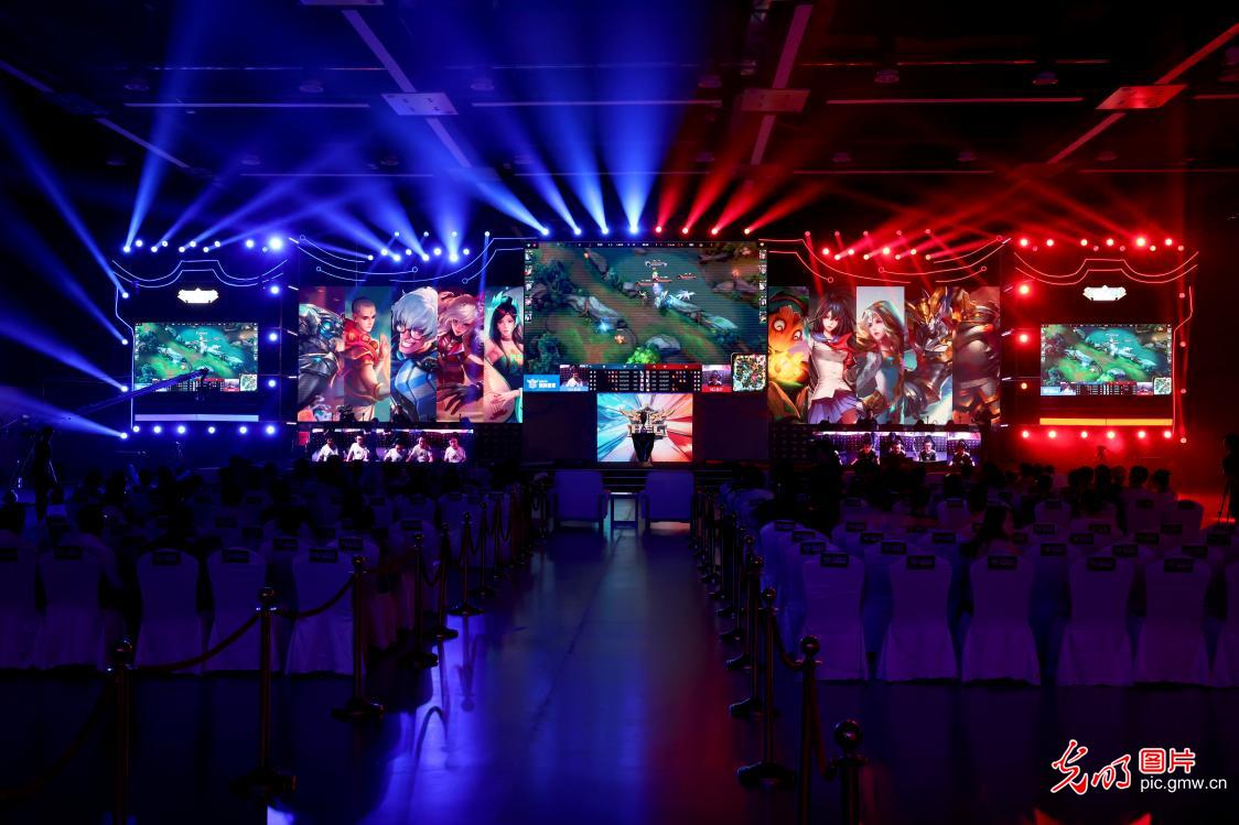 了十足的综 了十足的综